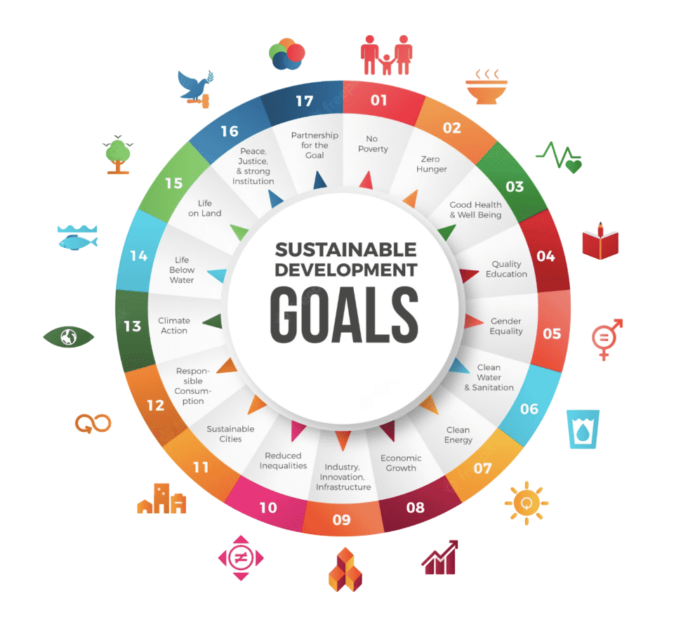 OAS Test Series Environment